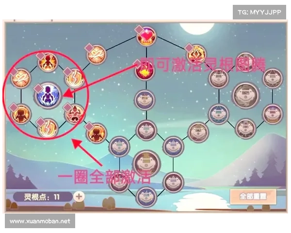 如何通过训练与装备提升宠物的战斗力和生存能力