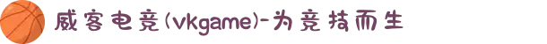 威客电竞(vkgame)-为竞技而生